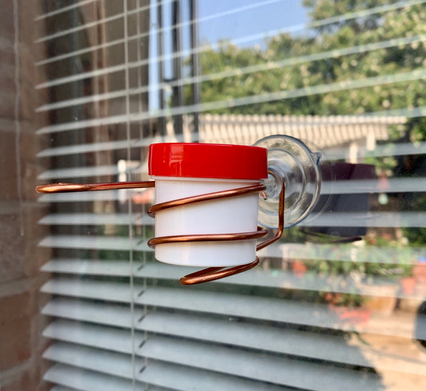 Window Hummingbird Feeder