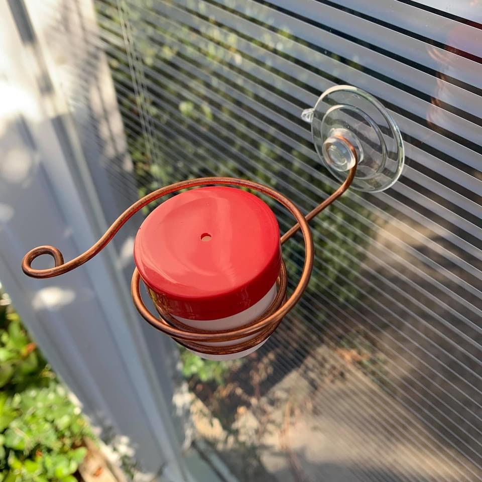 Window Hummingbird Feeder