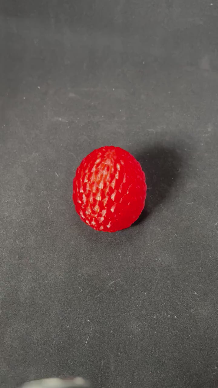 Dragonscale Egg with Tiny Heart Dragon