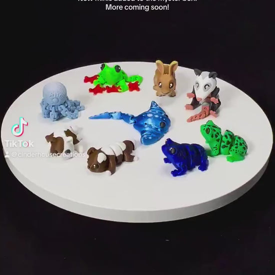 Mini Mystery Pack in Cat Container