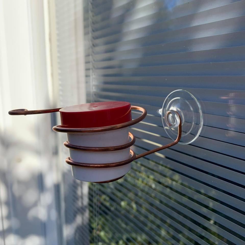 Copper Window Hummingbird Feeder With Suction Cup - Cinder House Creations
